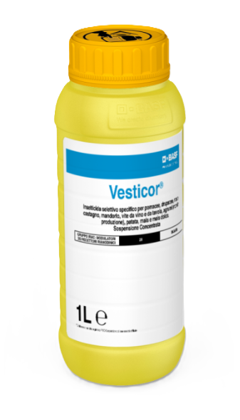 Vesticor x lt.1