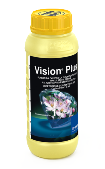 Vision Plus x lt.1