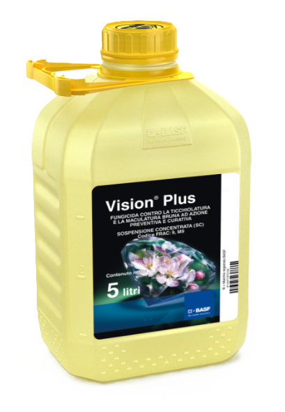 Vision Plus x lt.5
