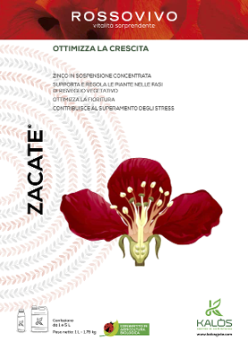 Zacate x lt.5